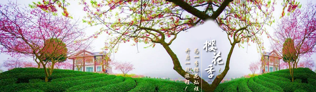 ��˾��������